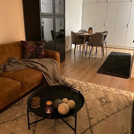 Amazing City Center Apartment Rovaniemi Kültér fotó