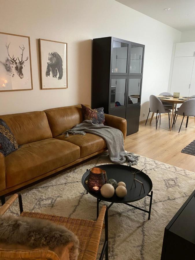 Amazing City Center Apartment Rovaniemi Kültér fotó
